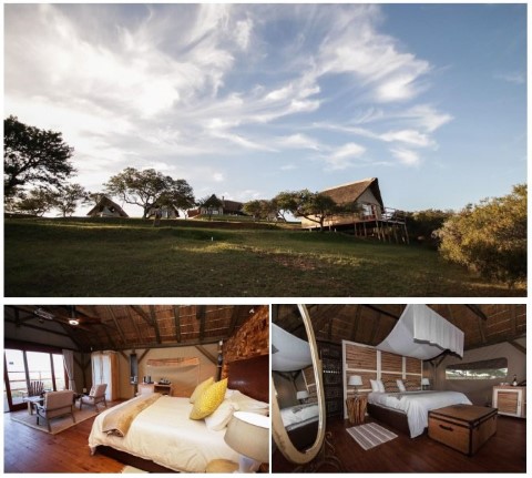 Jbay Zebra Lodge - 149