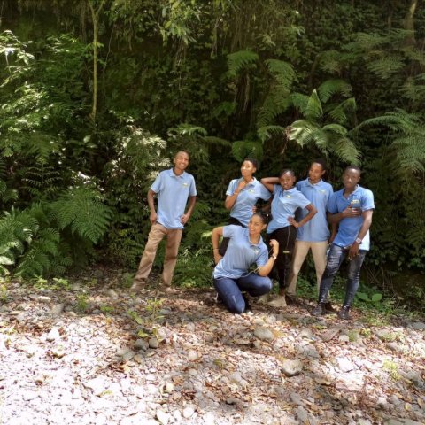 Domus Aurea Safari Company Limited - 1186