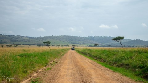 Masai Mara National Park - 200