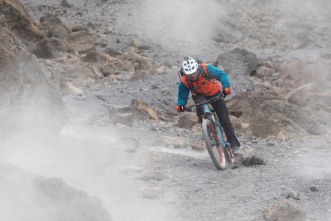 Domus Aurea Safari Company Limited - 1186