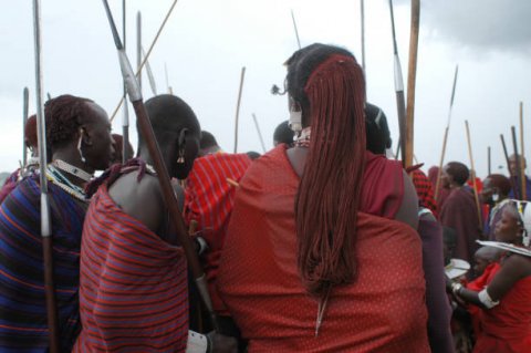 Domus Aurea Safari Company Limited - 1186