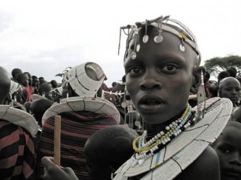 Domus Aurea Safari Company Limited - 1186