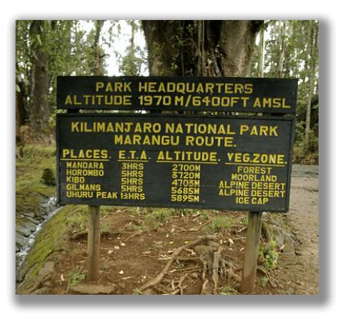 Domus Aurea Safari Company Limited - 1186