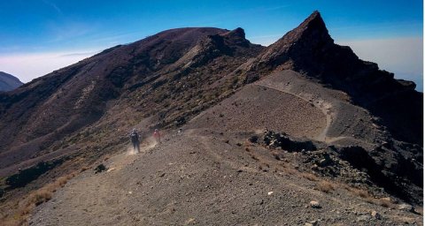 Domus Aurea Safari Company Limited - 1186