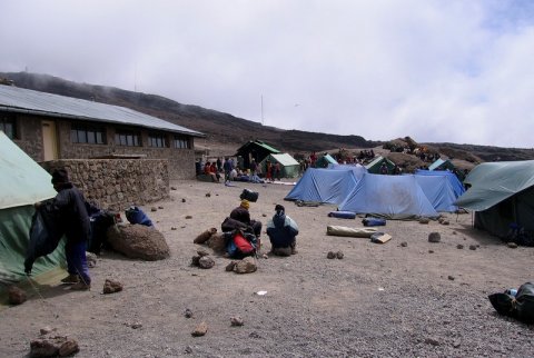 Domus Aurea Safari Company Limited - 1186