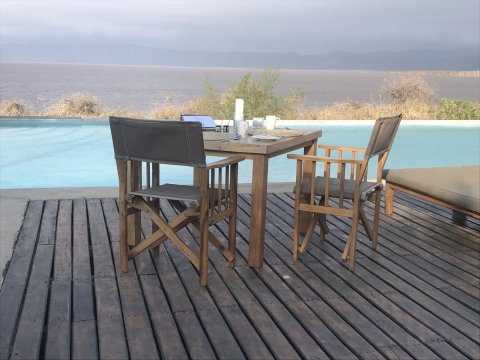 Gowitos Safaris - 1148