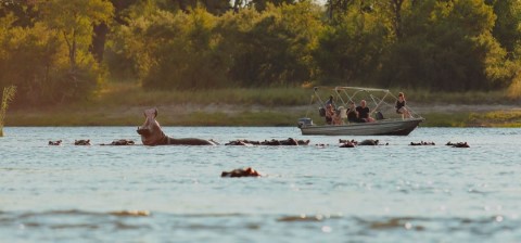 Alaitol Safari - 294