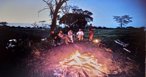 Domus Aurea Safari Company Limited - 1186