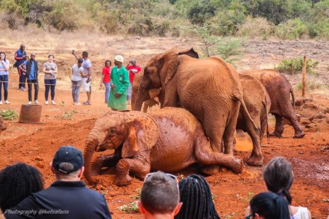 Kenya - 201