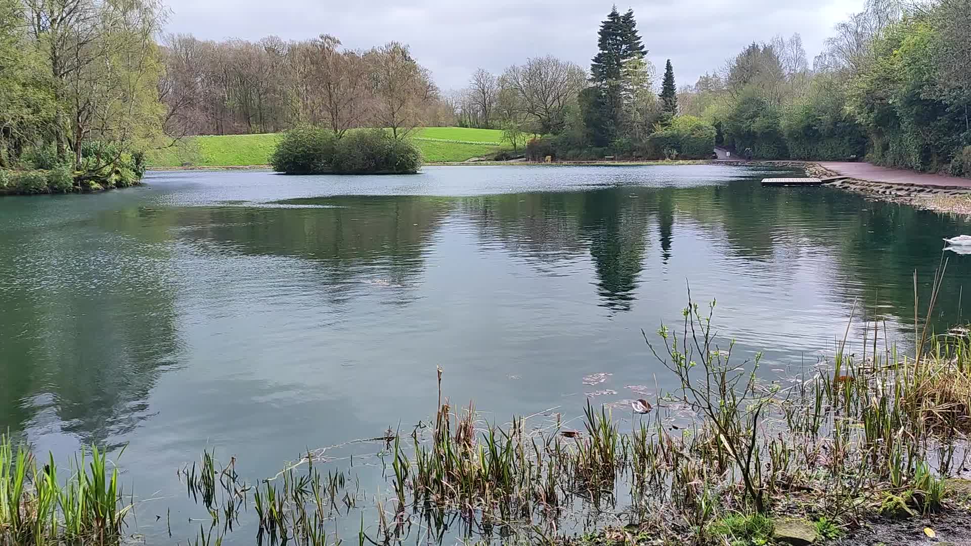 Rouken Glen Park  - 1229