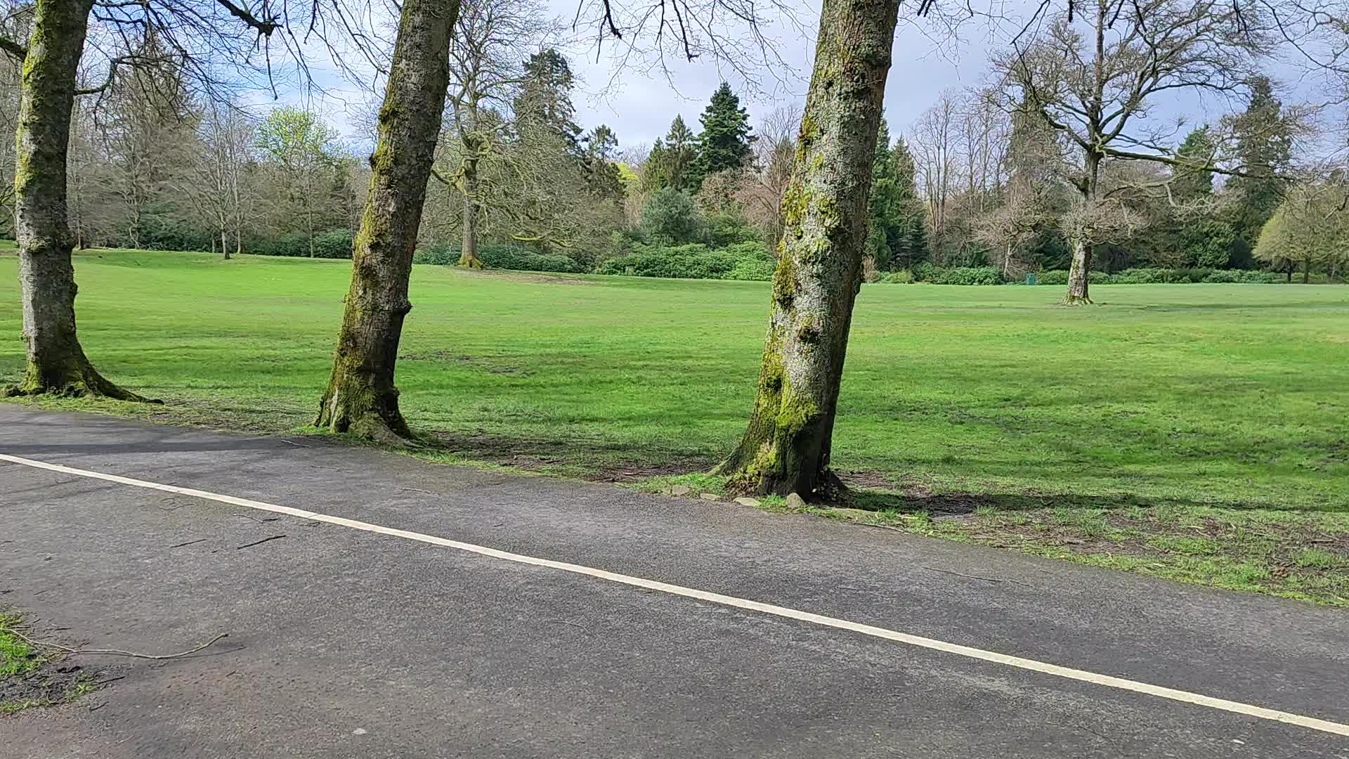 Rouken Glen Park  - 1229