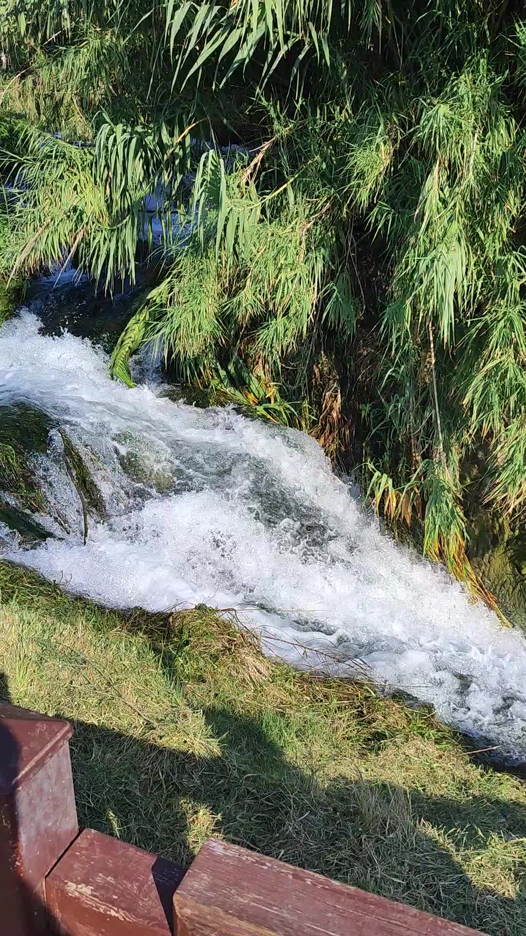 Duden Waterfall - 1264