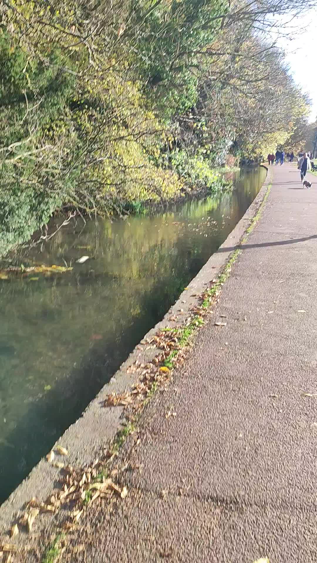 St Albans - 68