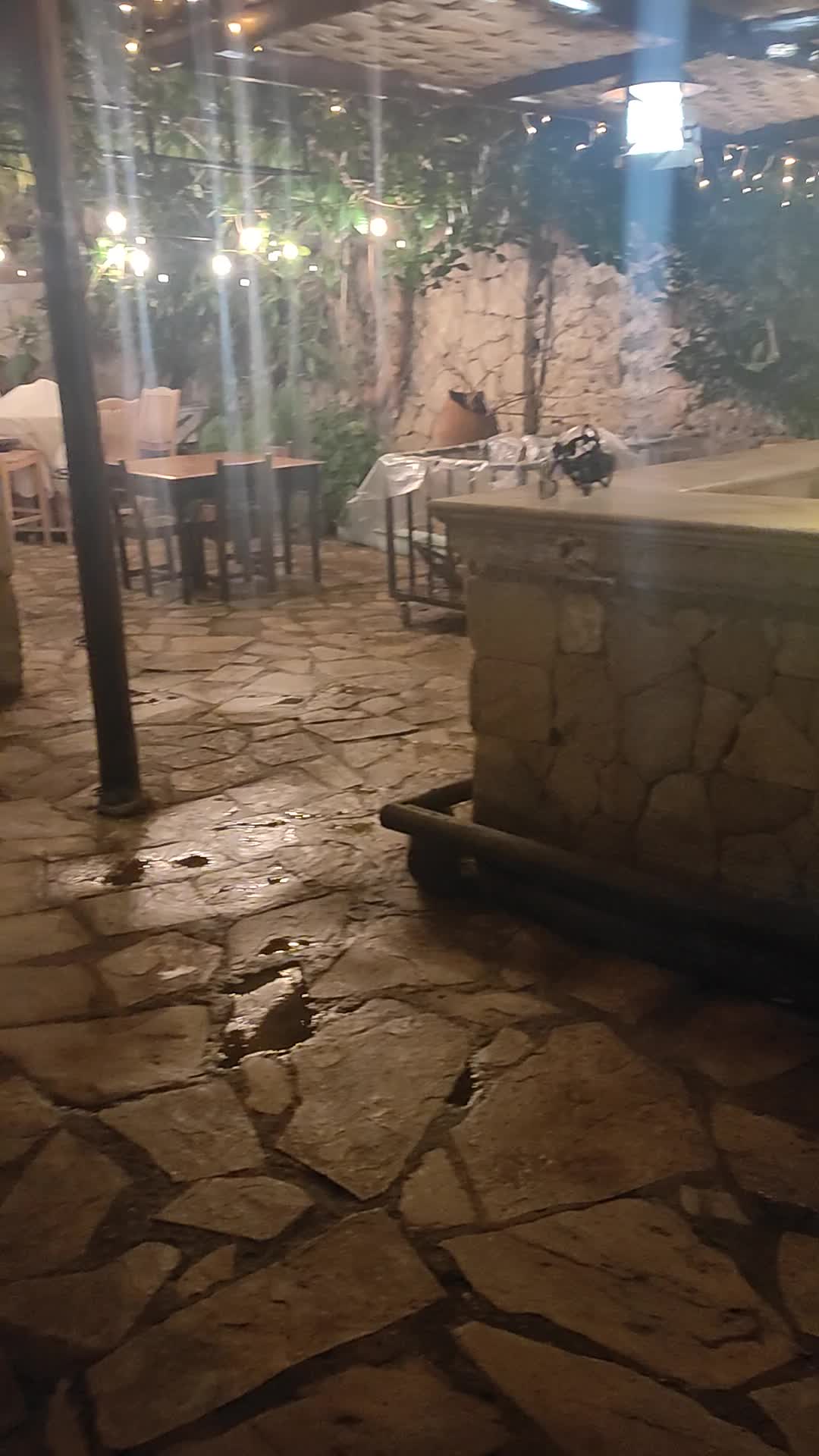 The Old Grapevine Restaurant - 1280