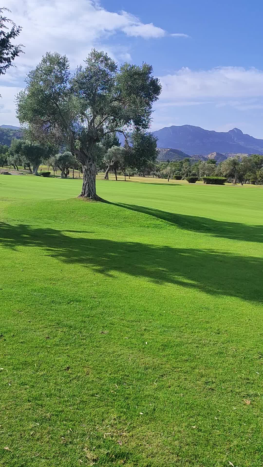 Korineum Golf & Country Club - 1287