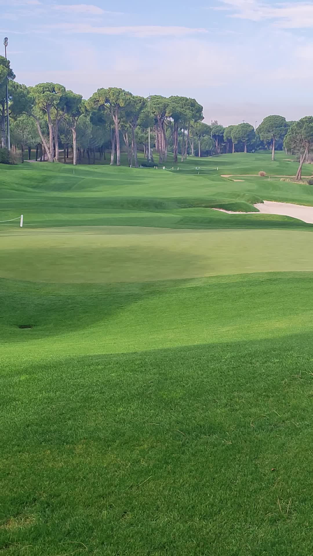 Montgomerie Maxx Royal - 1289