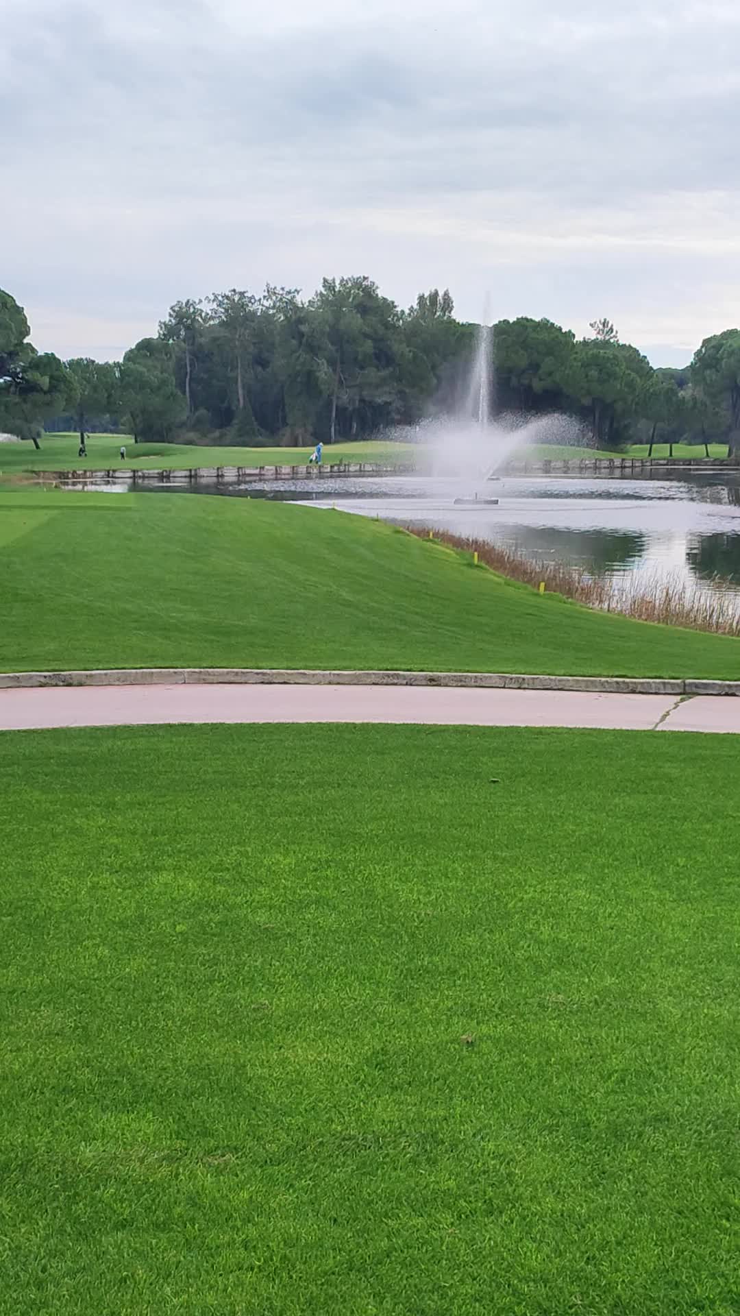 Montgomerie Maxx Royal - 1289