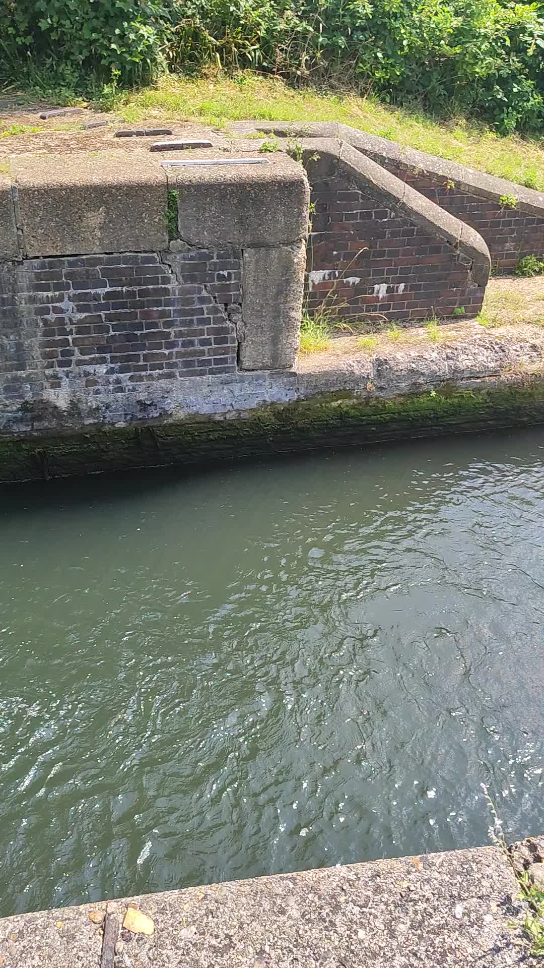 Grand Union Canal  Kings Langley To Apsley - 1343