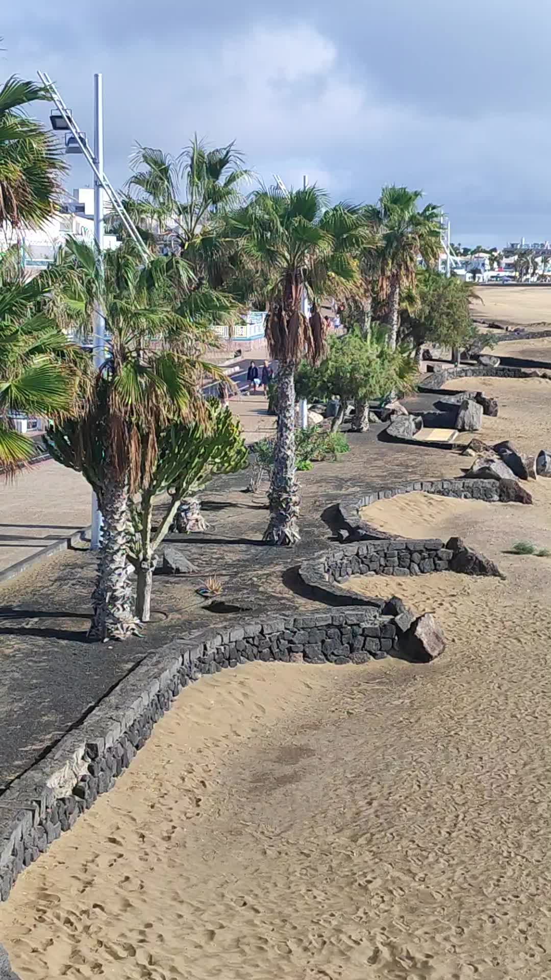 Puerto Del Carmen - 1372