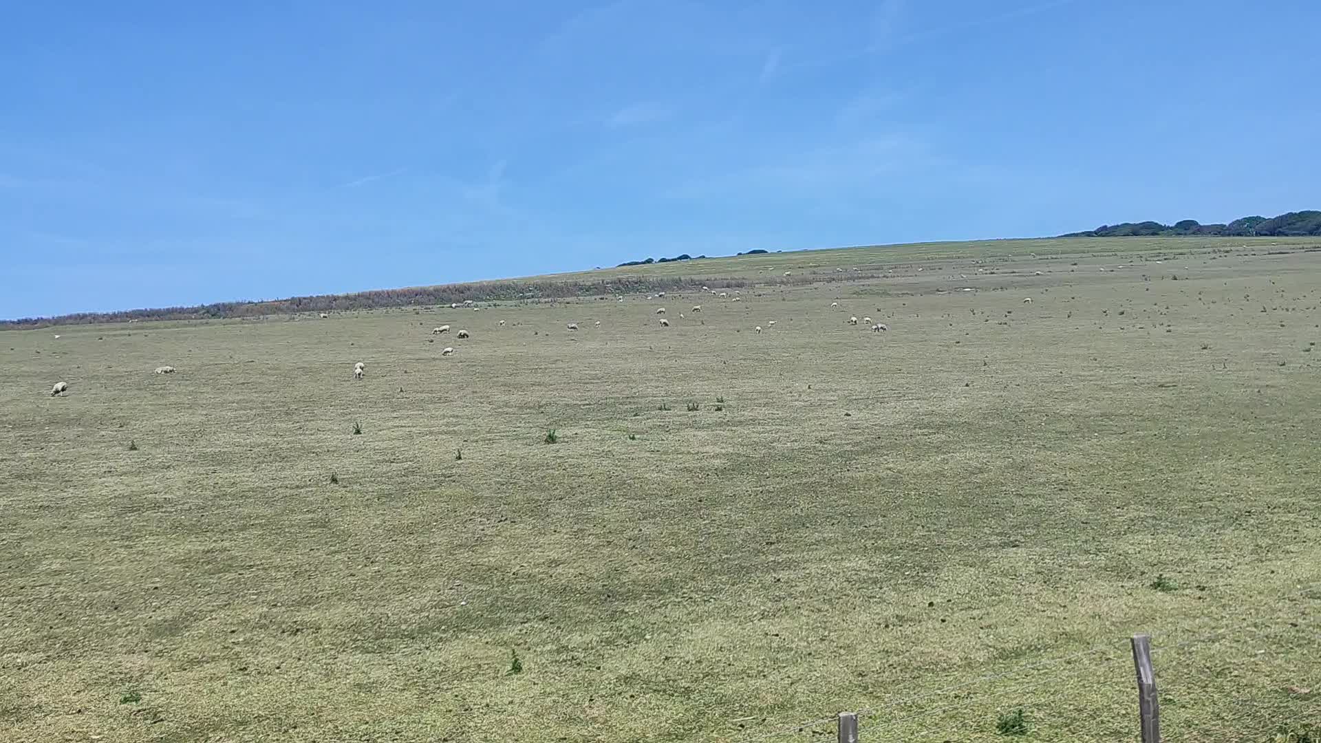 Eastbourne Sightseeing Tour - 1409