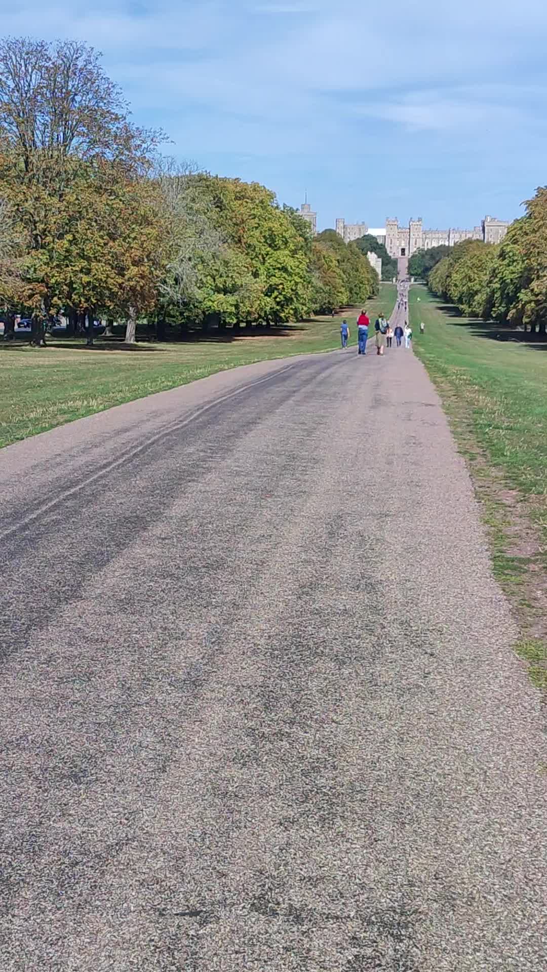 The Long Walk At Windsor Great Park - 1417