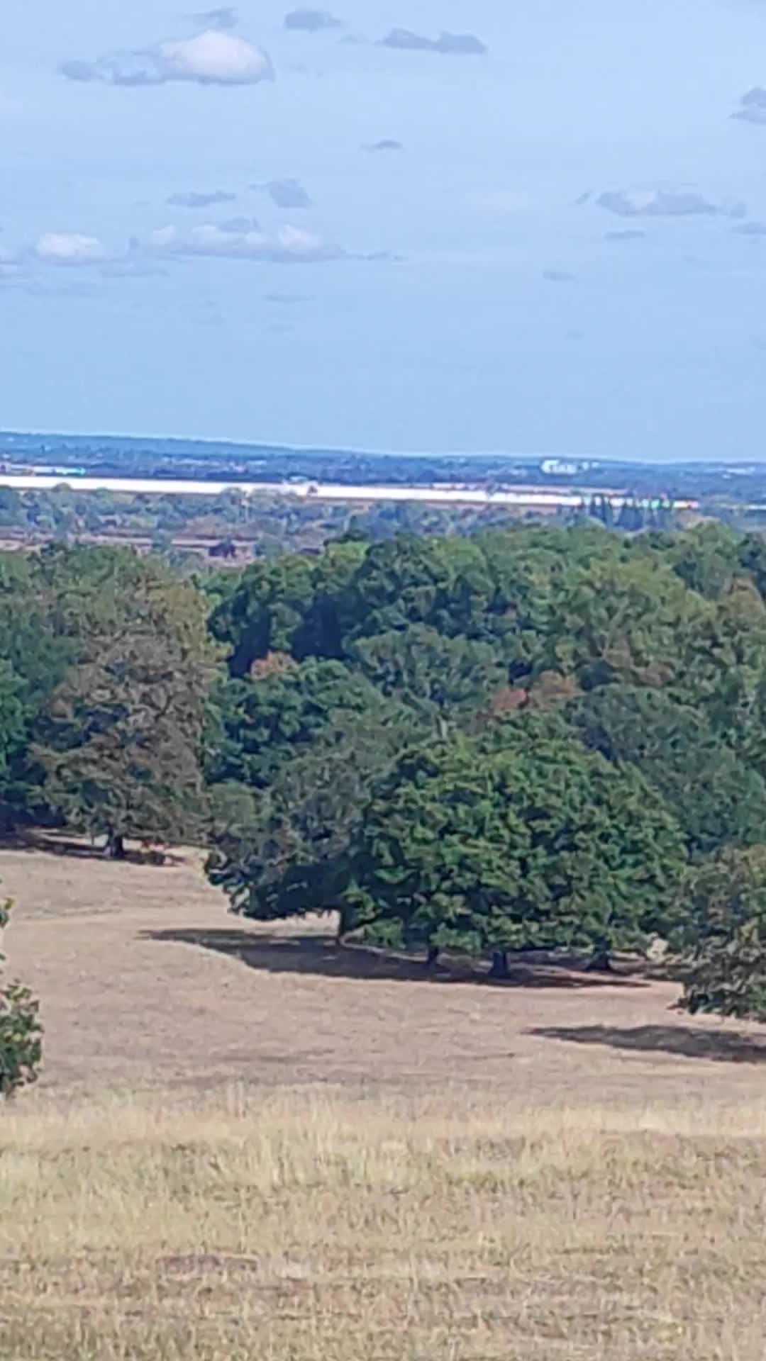 The Long Walk At Windsor Great Park - 1417