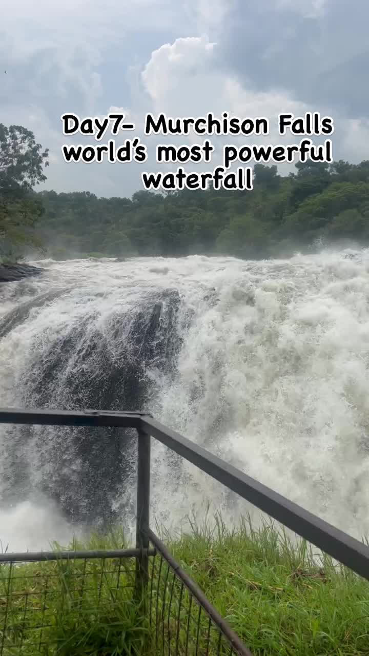 Murchison Falls National Park - 135