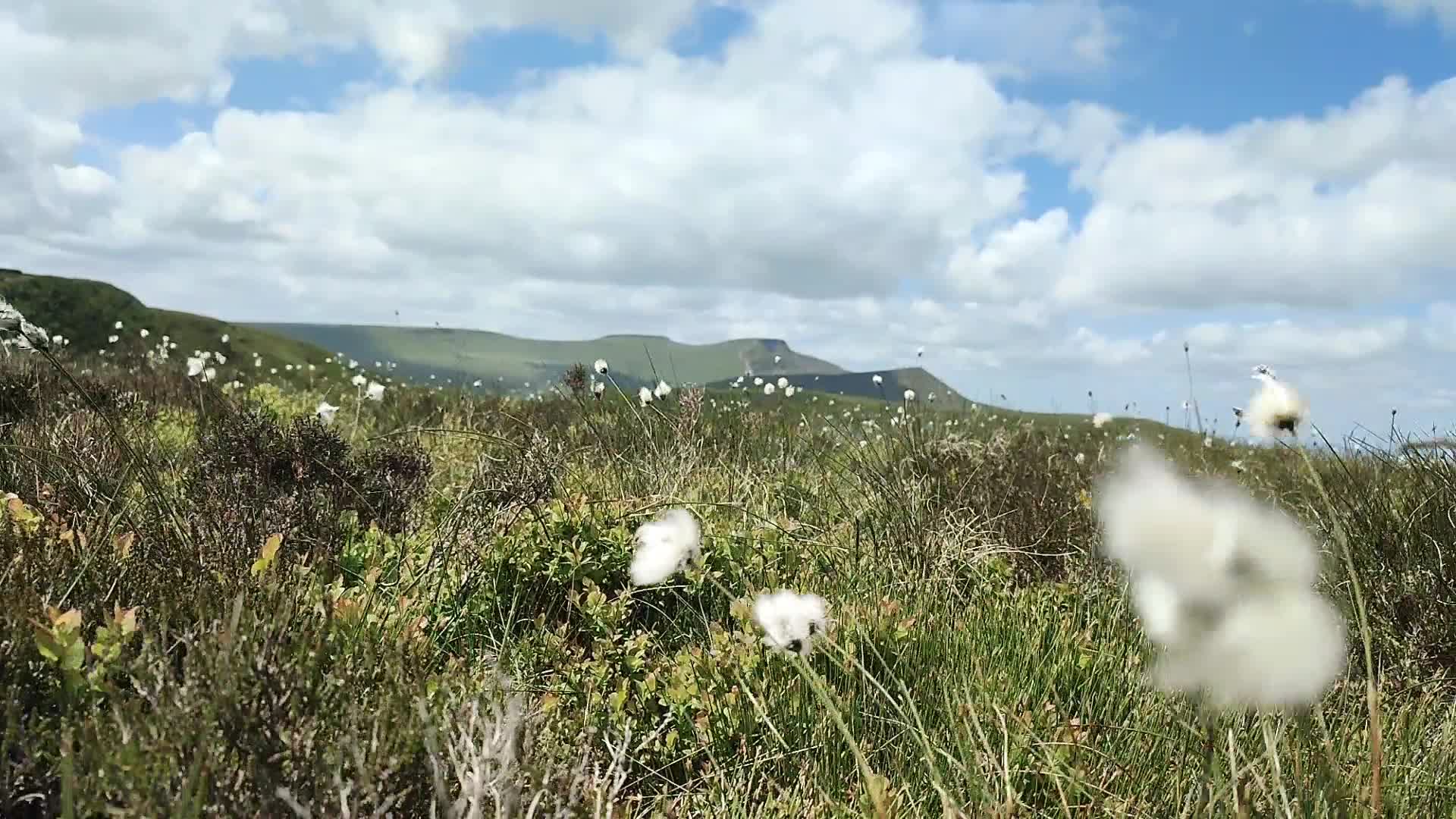Hike Pen Y Fan In The Brecon Beacons - Bannau Brycheiniog - 1301