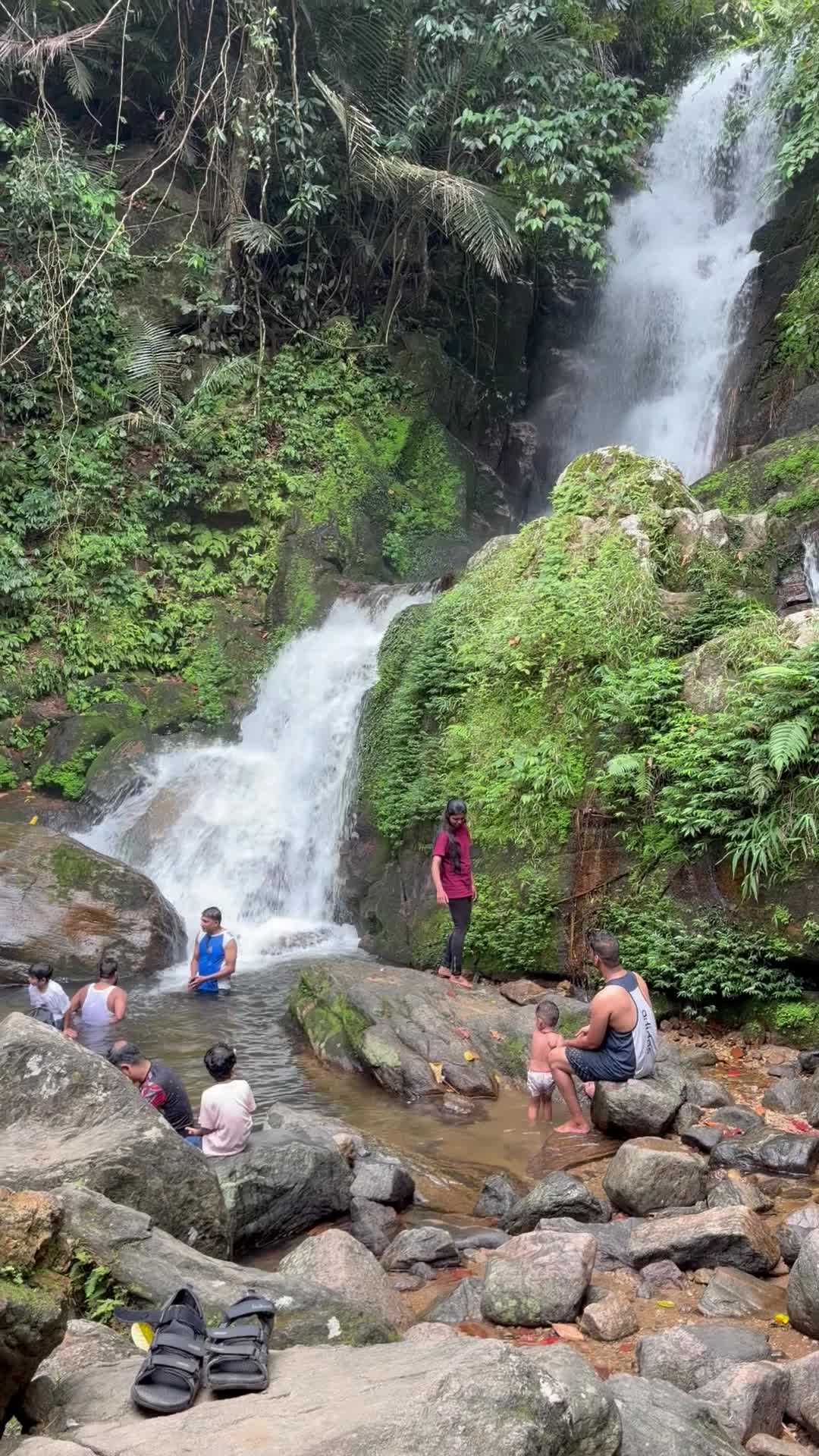 Anakulam Jeep Safari With Waterfall And Elephant - 1424