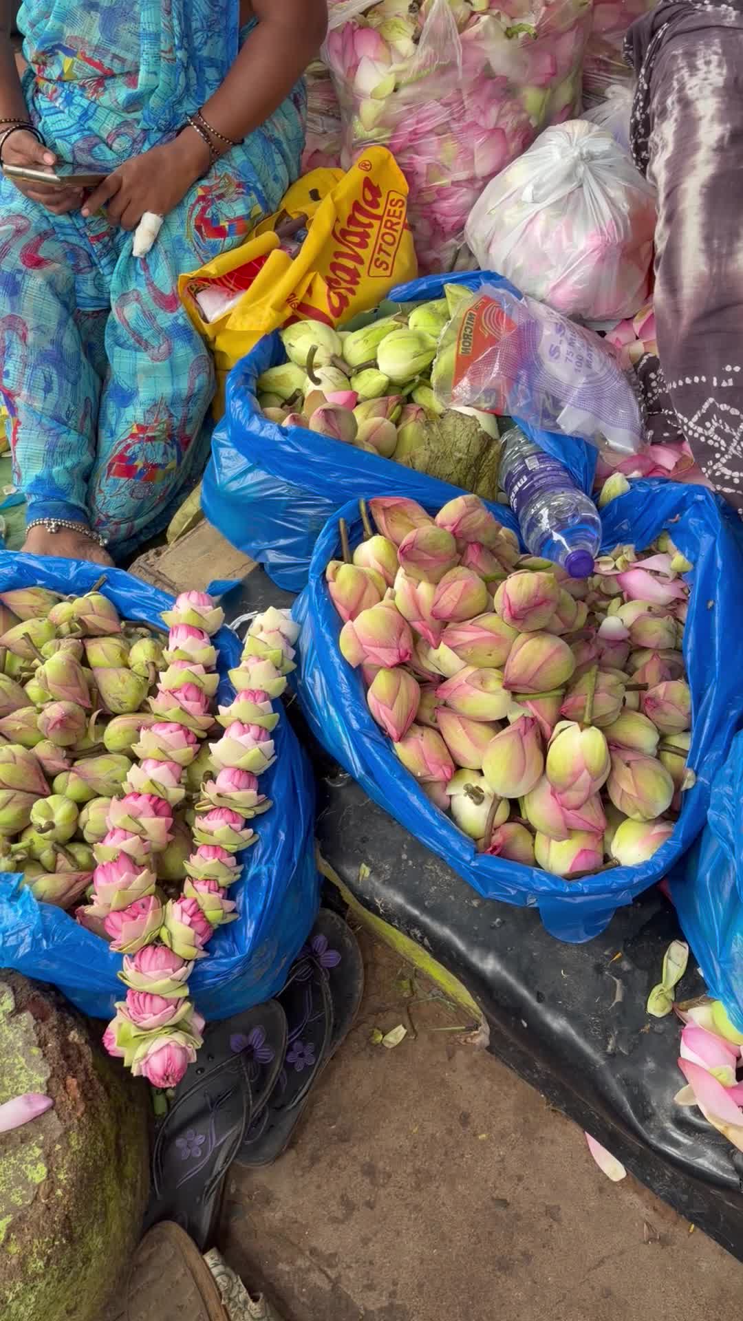 Fruit And Flower Markets - 1426