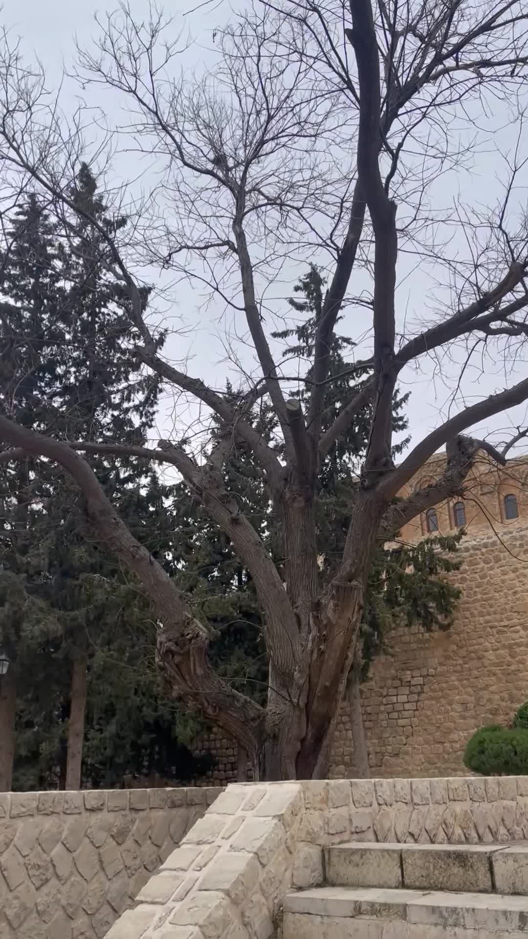 Deyrulzafaran Monastery - 1387