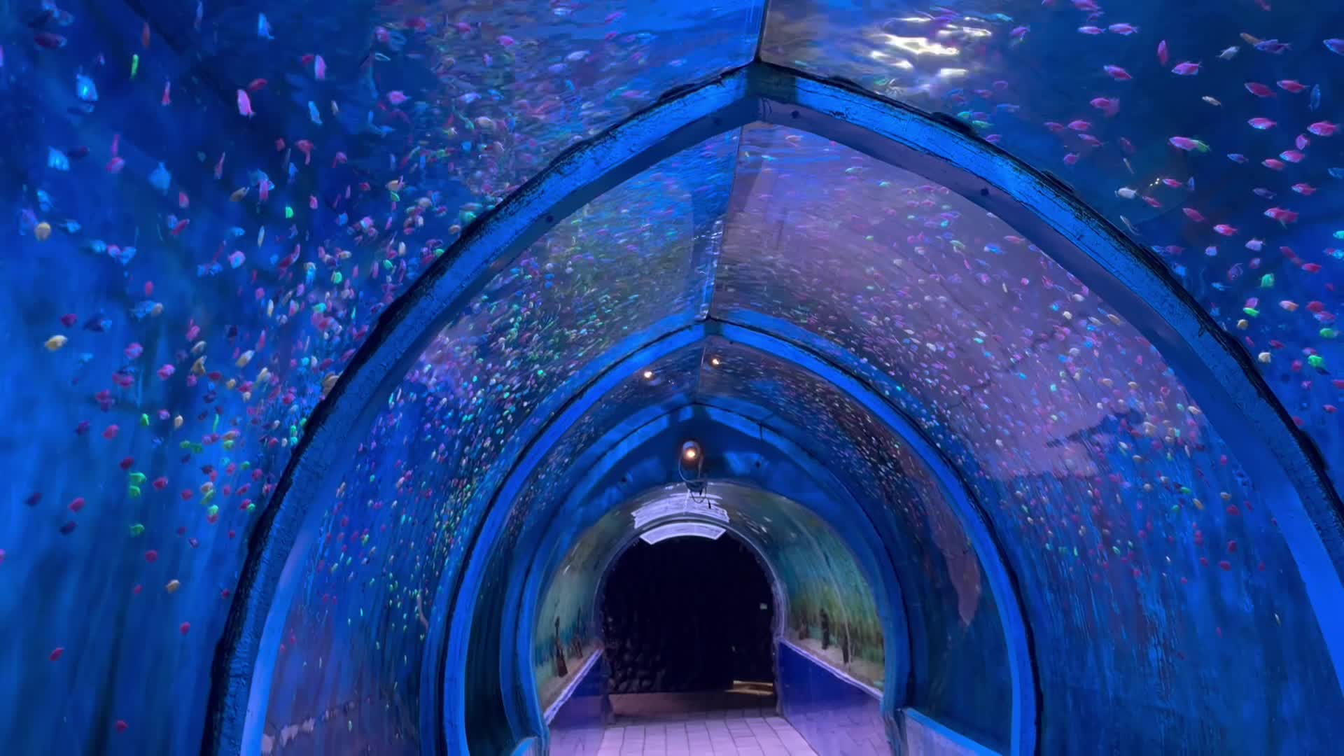 Lokaranjan Aqua World - 1429