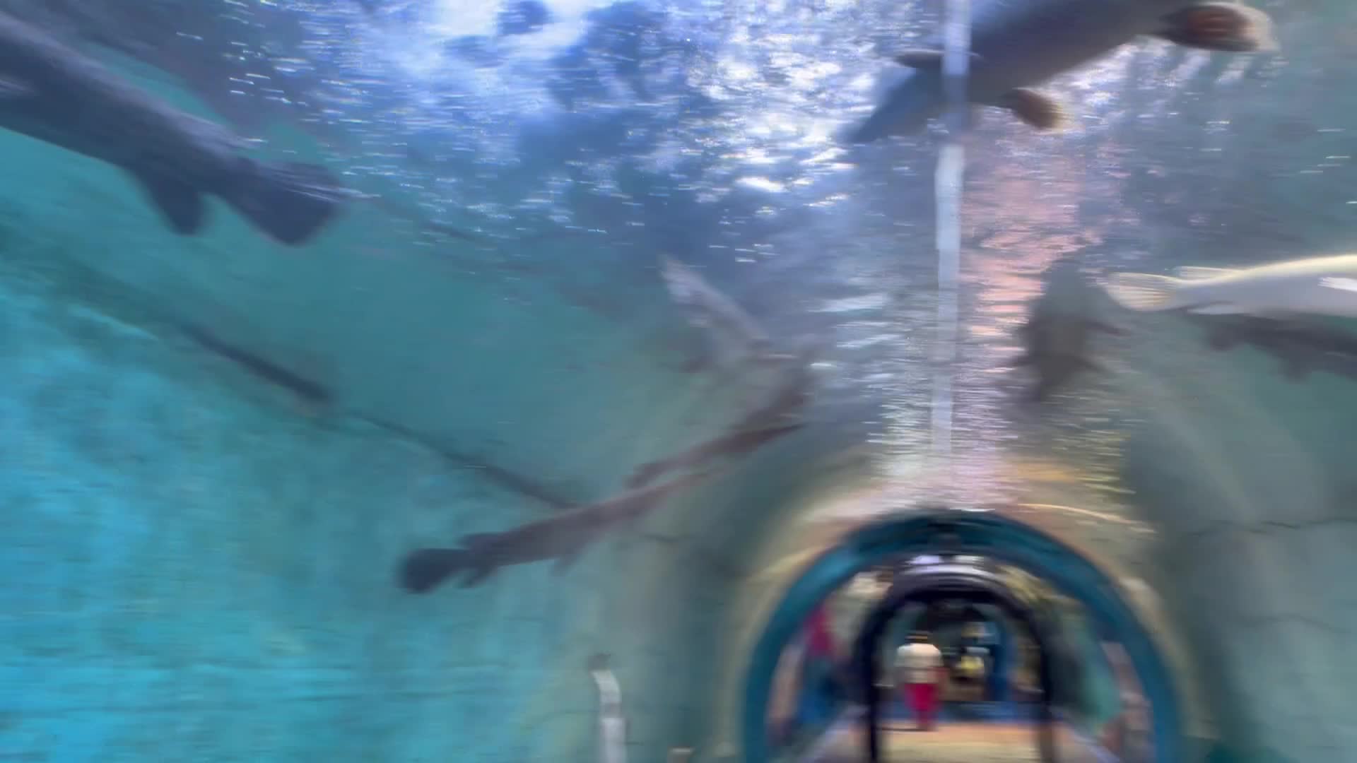 Lokaranjan Aqua World - 1429