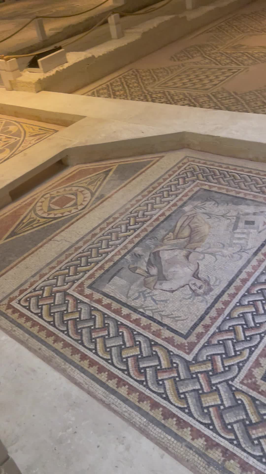 Zeugma Mozaic Museum - 1233