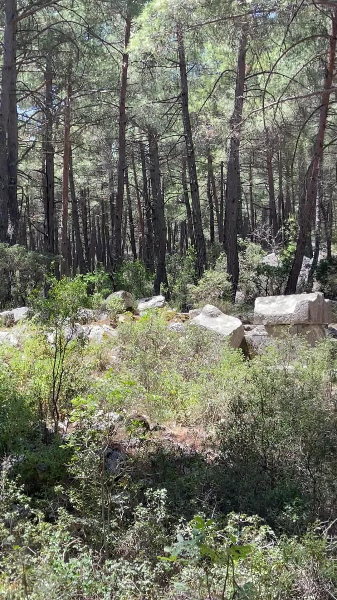 Ancient City Of Sia - 1237