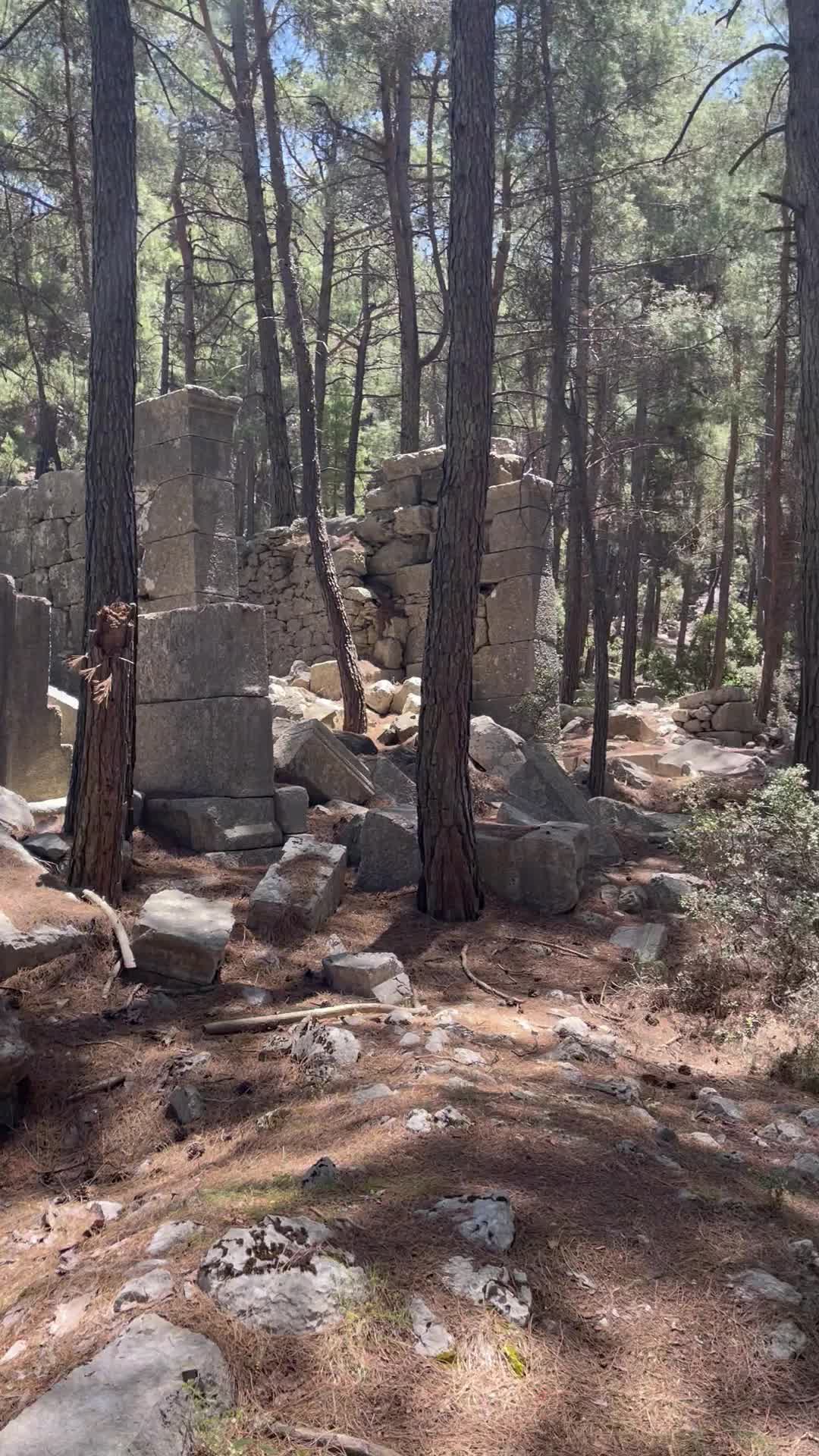 Ancient City Of Sia - 1237