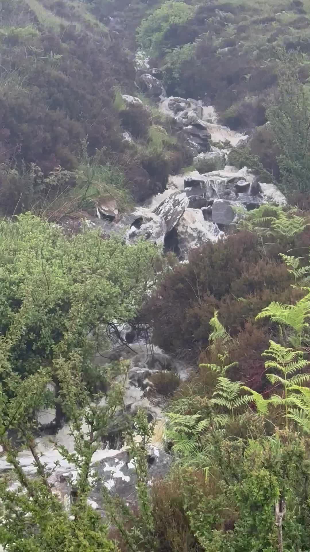 North Coast 500 Scotland - 1338