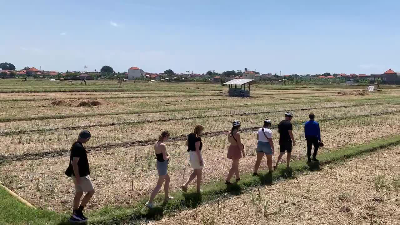 Green Bikes Bali - Sanur - 1256