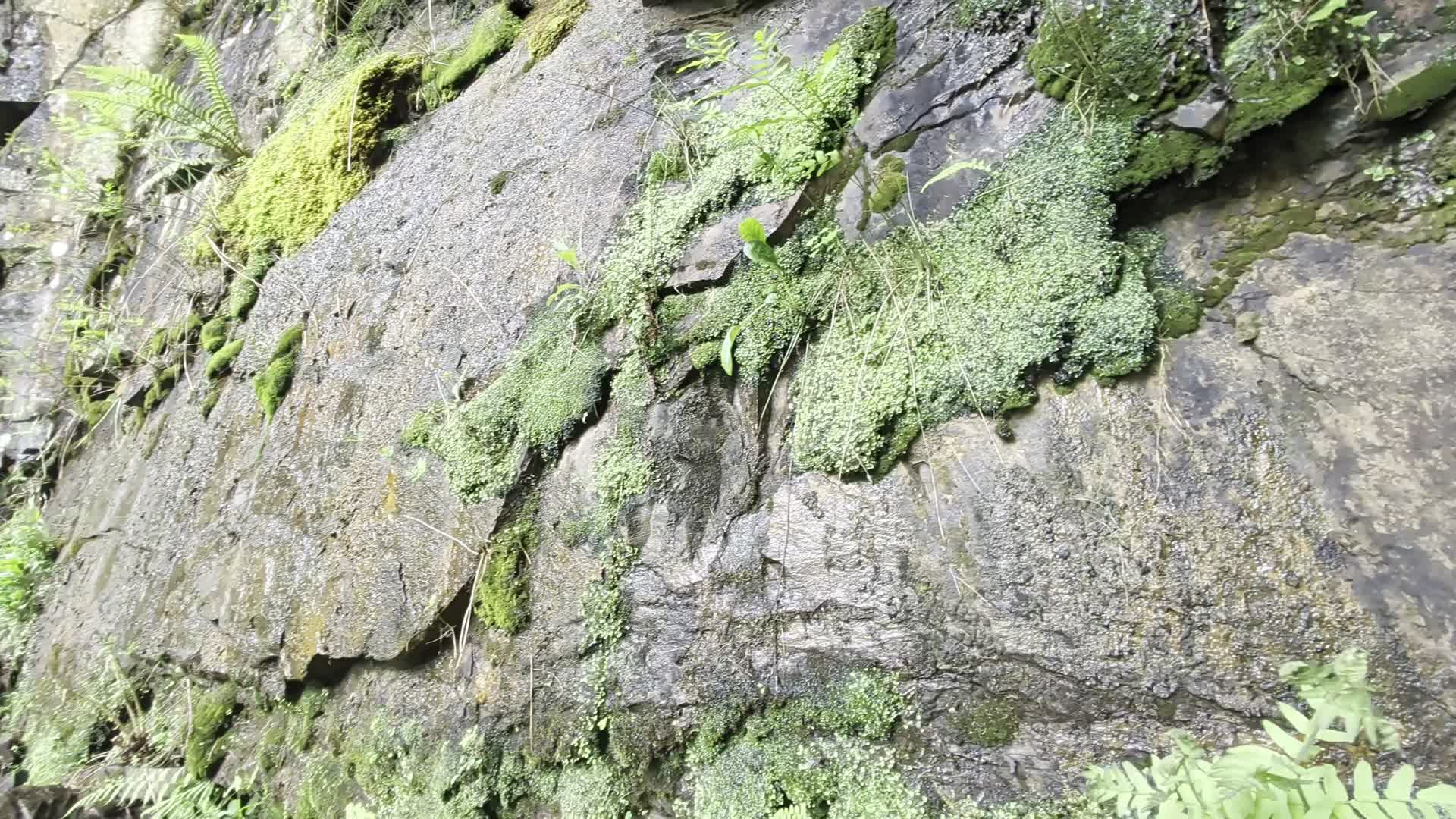 The Amazing Waterfalls Of The Brecon Beacons - Bannau Brychieniog - 1300