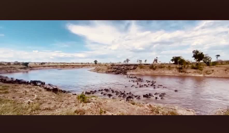 Amara Safari | Luxury African Safaris | Tanzania Tours - 288