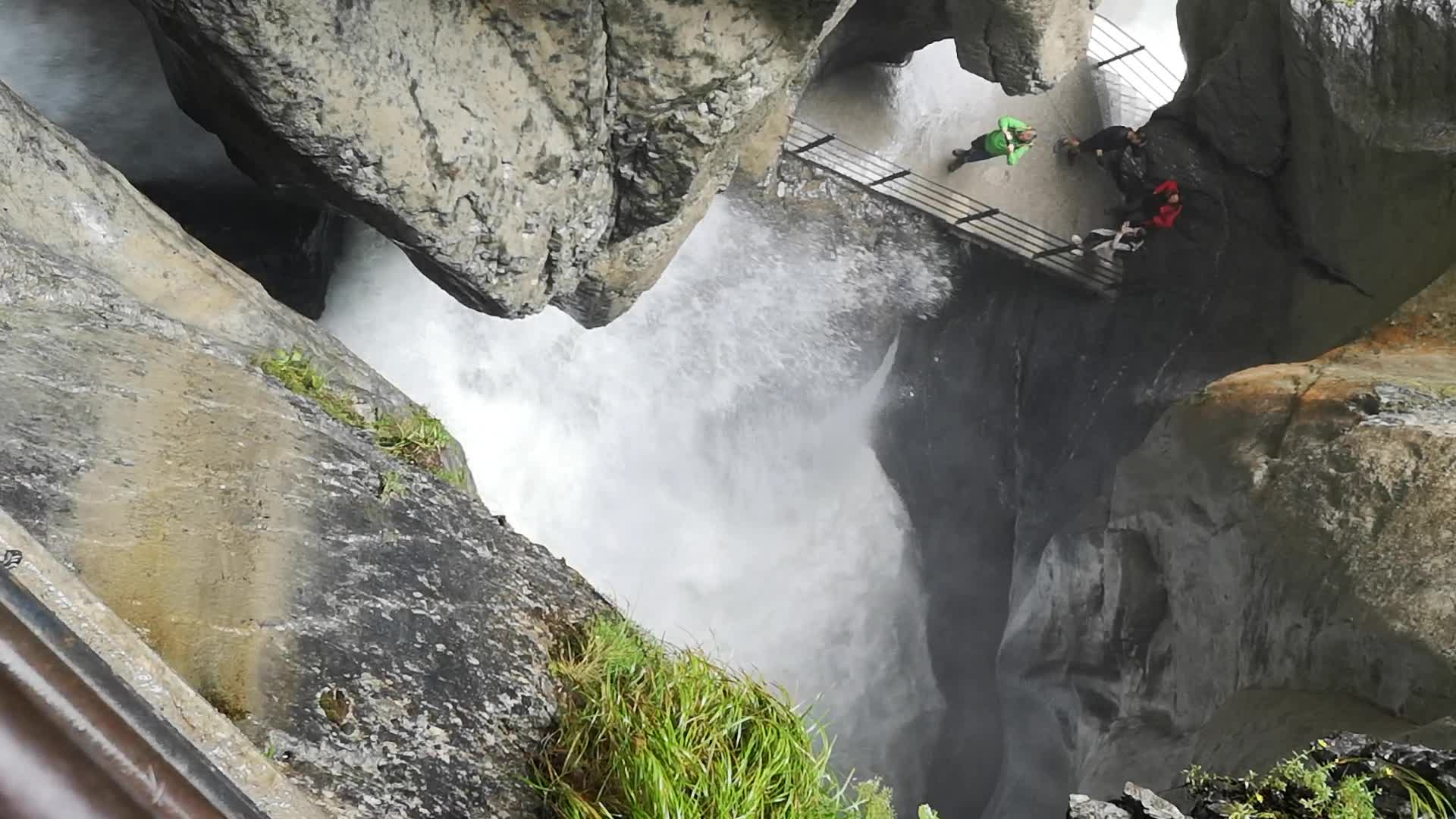 Typically Swiss Tours - 244