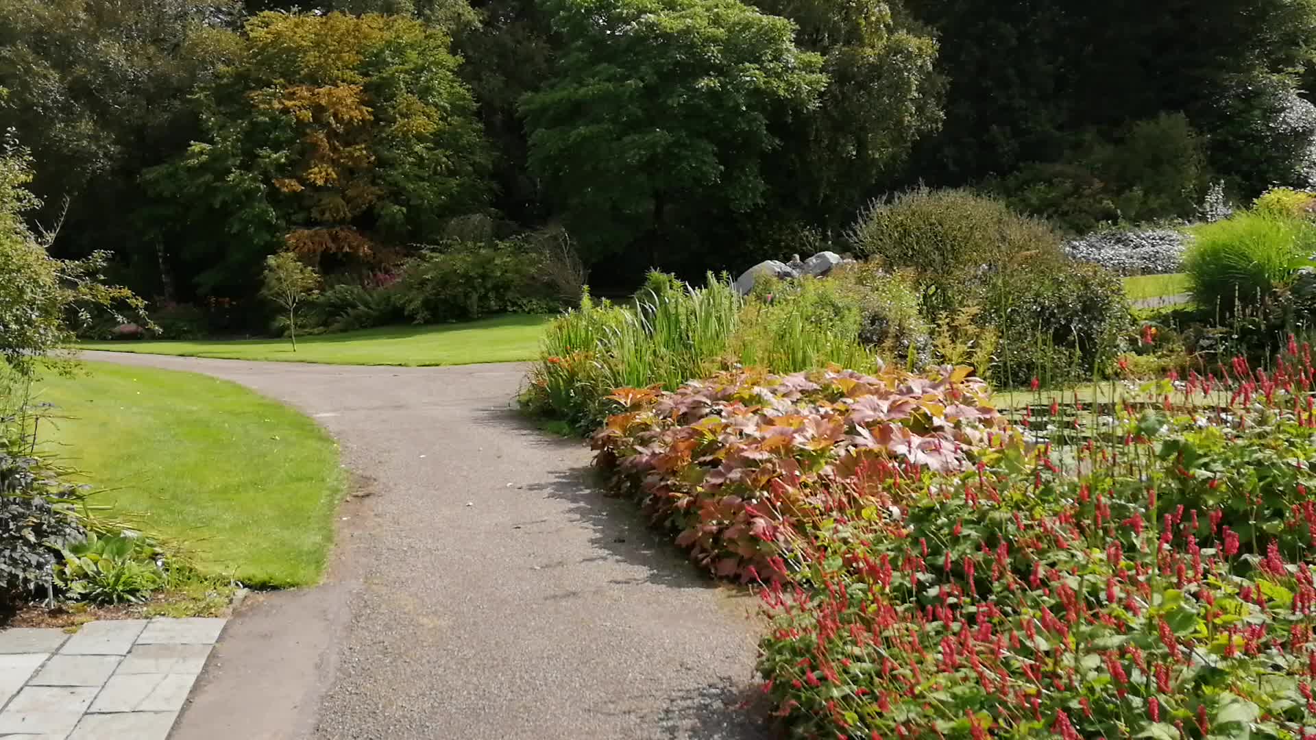 Threave Garden - 156