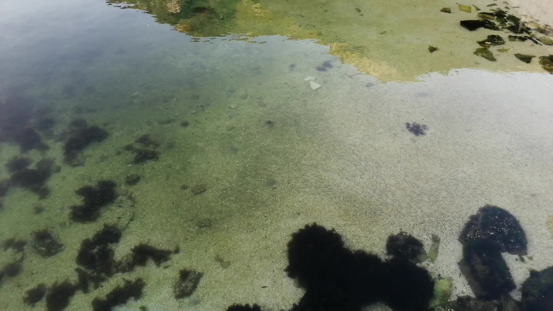 Random Views Of Kotor Bay - 193