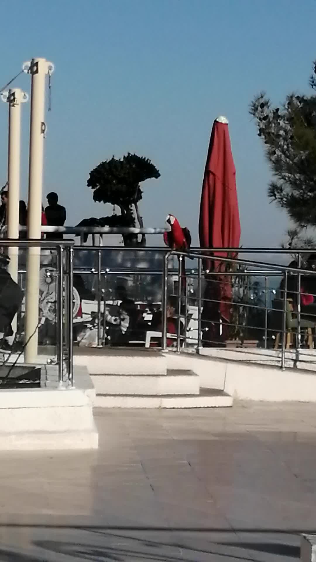 Antalya Cable Car - 220