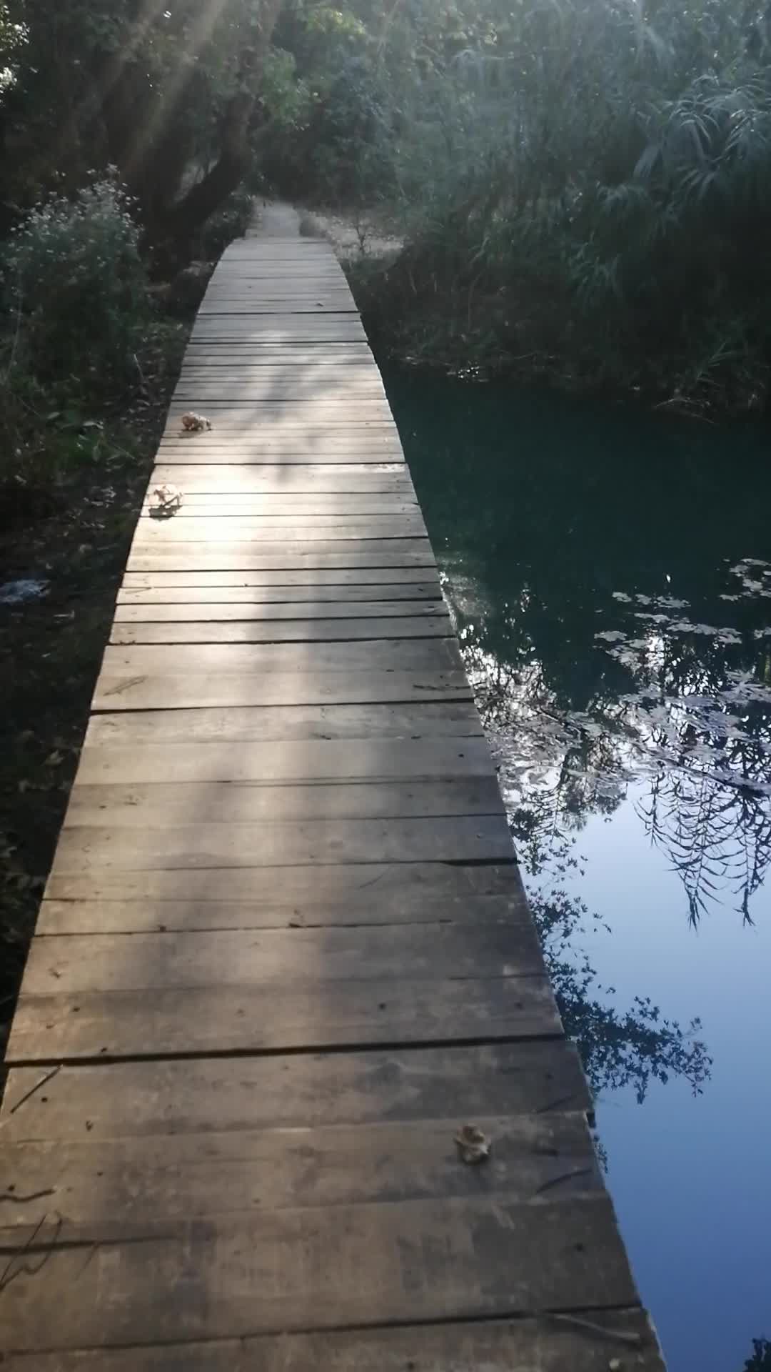 Kursunlu Waterfall - 126