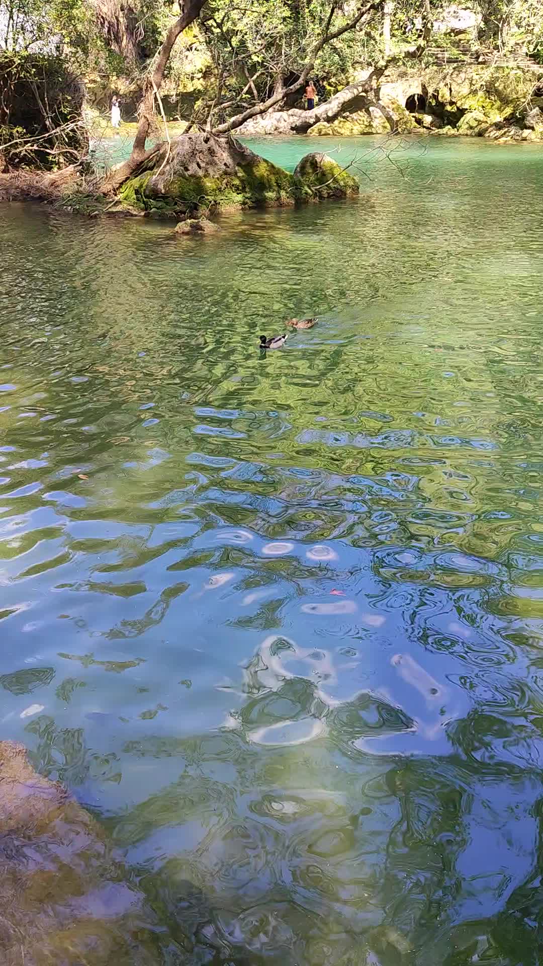 Kursunlu Waterfall - 126