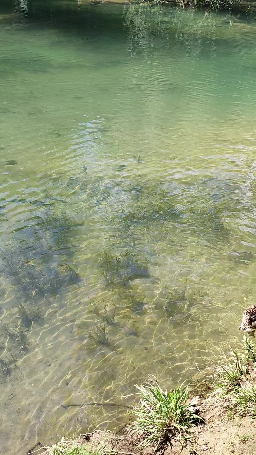 Kursunlu Waterfall - 126